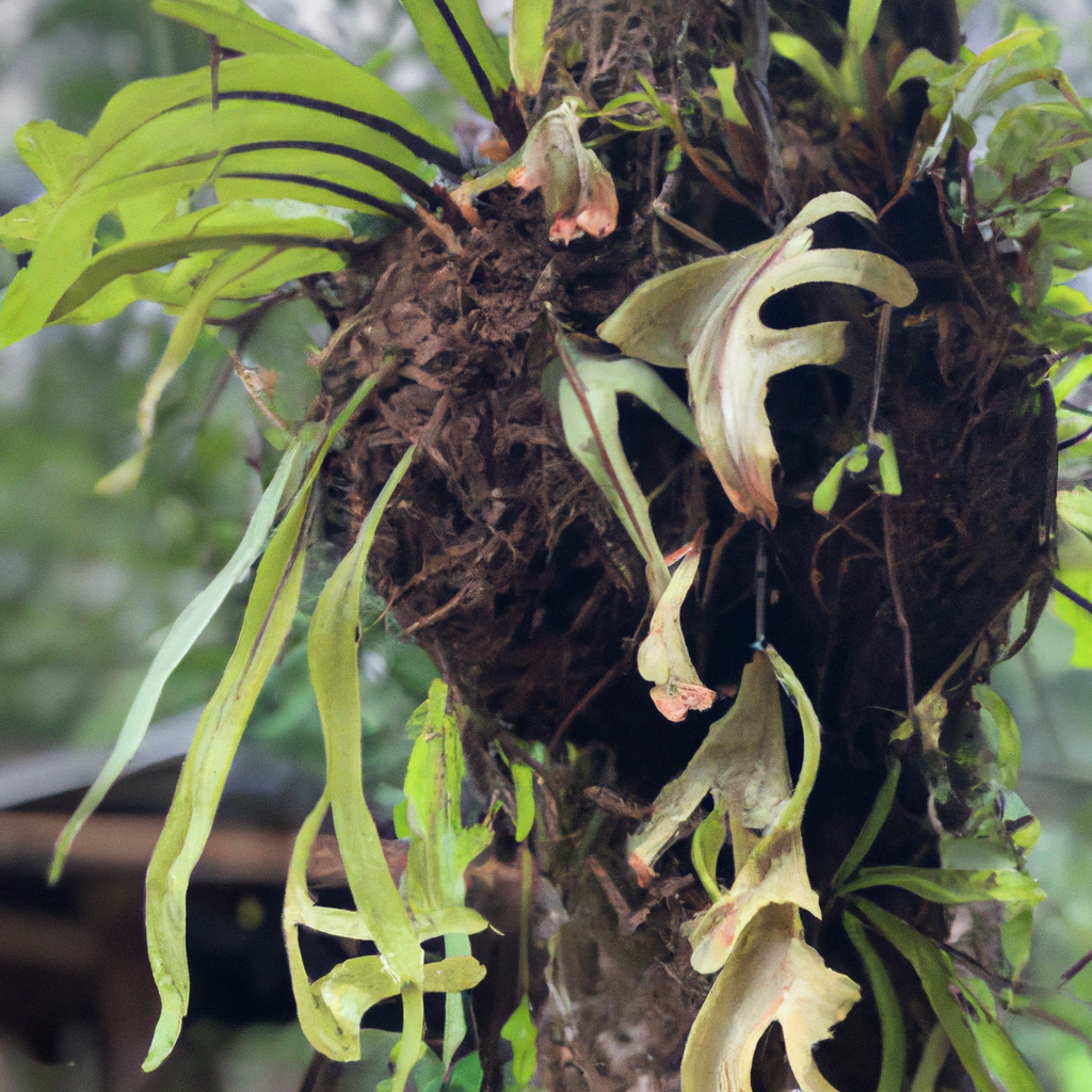 1. The Wonders of Nature’s Creative Vision